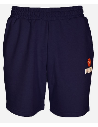 Puma Basket men's shorts - Blue