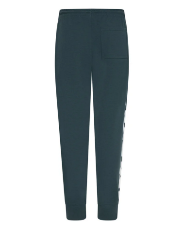 Pantalone Ragazzo Jordan Flight MVP - Verde