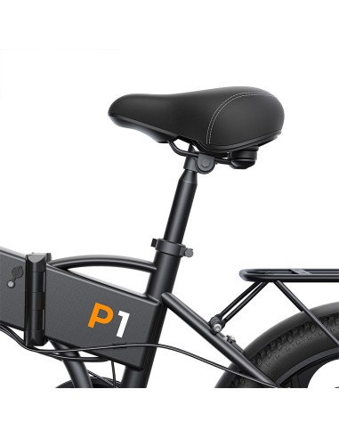 Bicicletta elettrica pieghevole Engwe P1 - nero