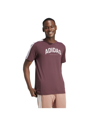 Adidas Codes Collegiate Linear Graphic Herren...