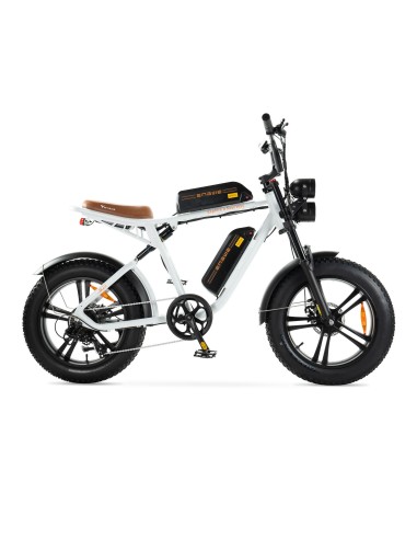 Bicicletta elettrica Engwe stile motociclistico - doppia batteria