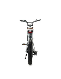 Engwe M20 Elektrofahrrad - Doppelakku 750W 2