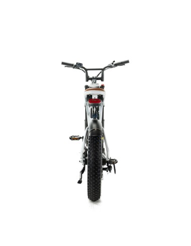 Bicicletta elettrica Engwe M20 stile...