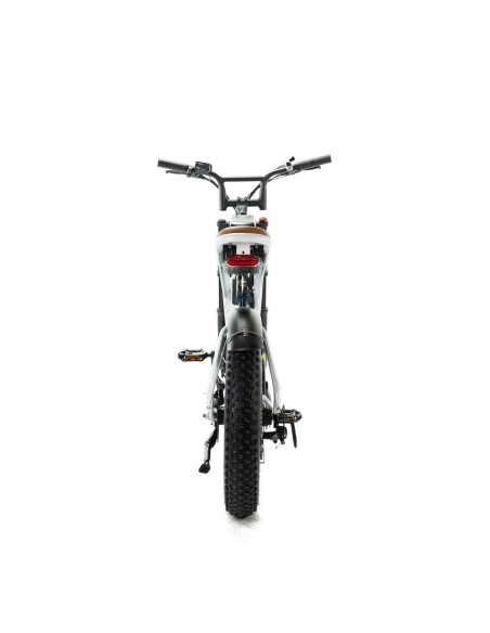 Vélo électrique Engwe M20 - Double batterie 750W