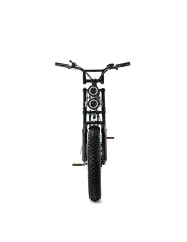 Vélo électrique Engwe M20 - Double batterie 750W