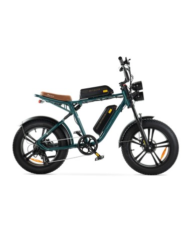 Bicicleta eléctrica Engwe M20 - Doble batería 750W