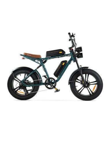 Vélo électrique Engwe M20 - Double batterie 750W