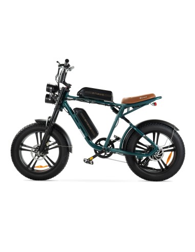 Engwe M20 Electric Bike - Double Battery 750W
