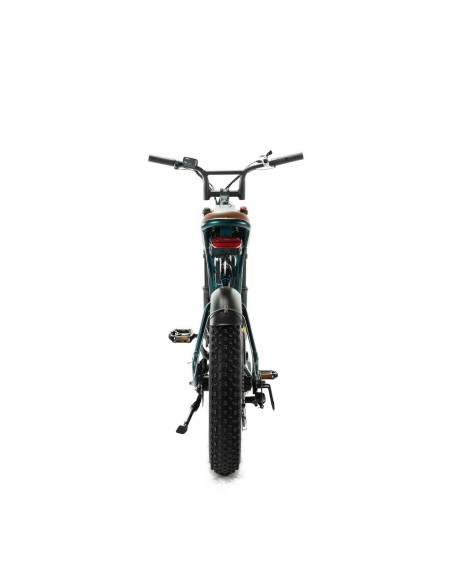 Vélo électrique Engwe M20 - Double batterie 750W