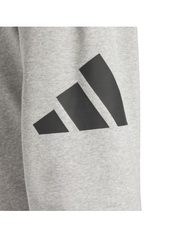 Pantalone Uomo Adidas Essentials Big Logo...
