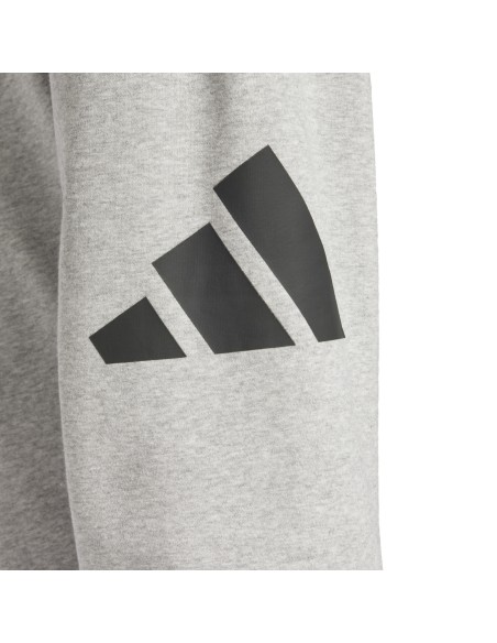 Adidas Essentials Big Logo French Terry Men's Pants - Grey