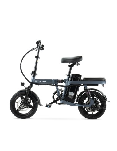 ENGWE T14 Electric Folding Mini Bike with Multiple Suspension