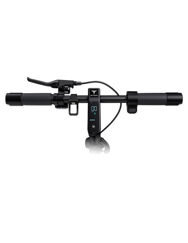 Trottinette électrique ENGWE Y10, moteur 350 W,...