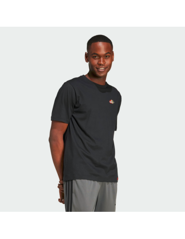 T-shirt Adidas Embroidery Graphic Tee pour...