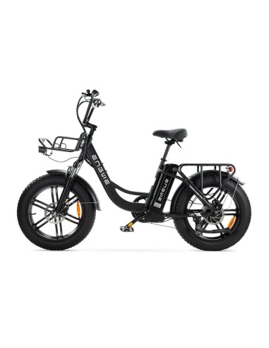 Bicicletta elettrica ENGWE L20 Fat bike con...