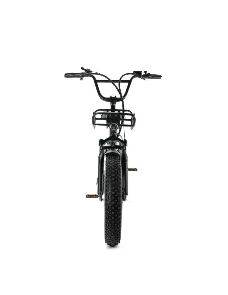 Bicicletta elettrica ENGWE L20 Fat bike con autonomia di 140 km