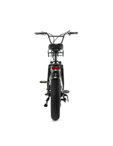 ENGWE L20 Fat bike electric bicycle with 140 km...