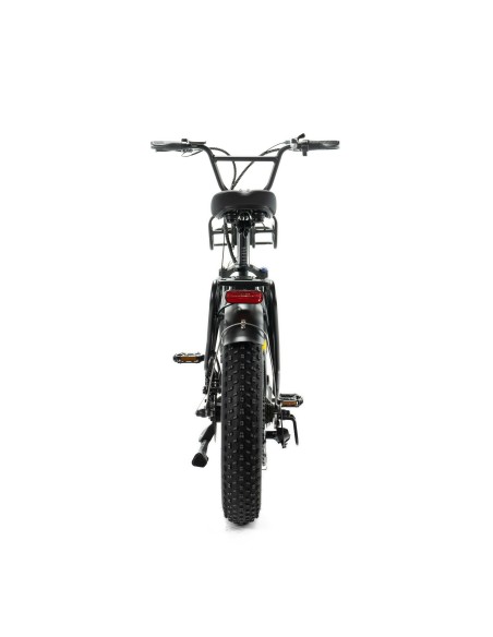 Bicicletta elettrica ENGWE L20 Fat bike con autonomia di 140 km