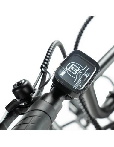 Bicicletta elettrica ENGWE L20 Fat bike con...