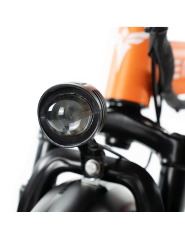 Mini vélo électrique pliable ENGWE T14 avec...