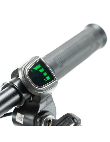 Mini vélo électrique pliable ENGWE T14 avec...