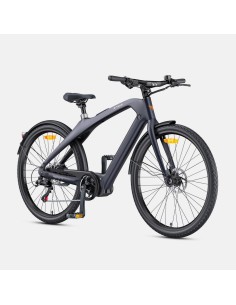 Bicicletta elettrica ENGWE MapFour N1 Pro 250W 36V 10Ah