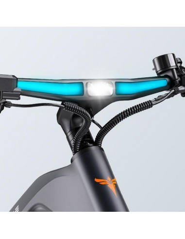 Bicicletta elettrica ENGWE MapFour N1 Pro 250W...