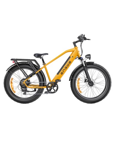 ENGWE e26 Electric Bike