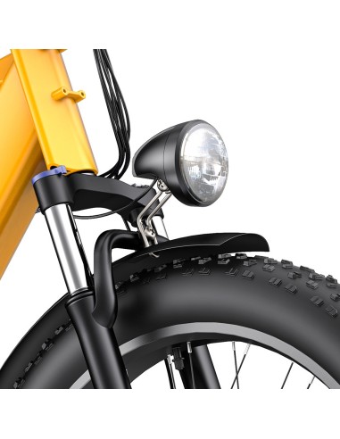 Bicicleta eléctrica ENGWE E26