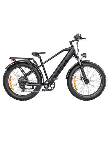 ENGWE e26 Electric Bike