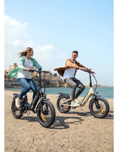 Vélo électrique pliant L20 3.0 Boost 250W 48V...