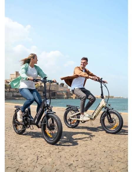Zusammenklappbares Elektrofahrrad engwe L20 3.0 Boost 250W 48V 13,5Ah - Schwarz