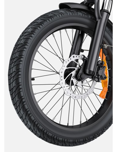Bicicletta elettrica pieghevole Engwe L20 3.0...