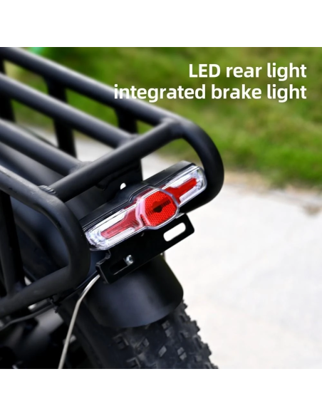 Bicicletta elettrica pieghevole Engwe ENGINE X 250W - arancio
