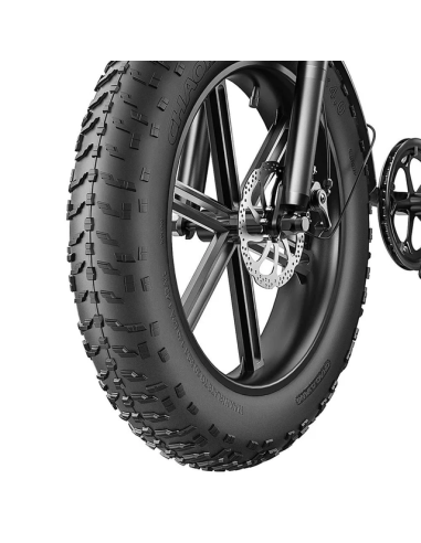 Bicicletta elettrica ENGWE EP-2 Boost da 20"...