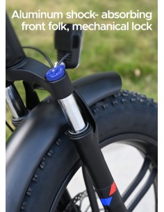 Bicicletta elettrica pieghevole Engwe ENGINE X 250W - nero 2