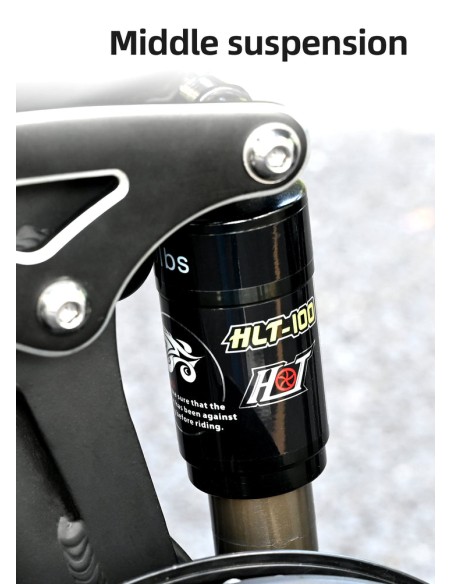 Bicicletta elettrica pieghevole Engwe ENGINE X 250W - nero