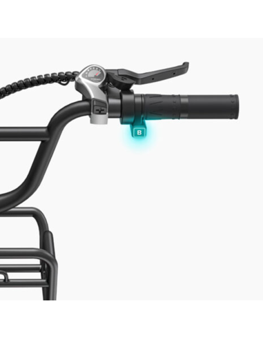 Bicicletta elettrica ENGWE L20 Boost per...