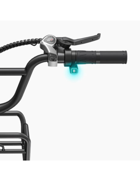 Bicicletta elettrica ENGWE L20 Boost per adulti, 20", batteria 48V 13A