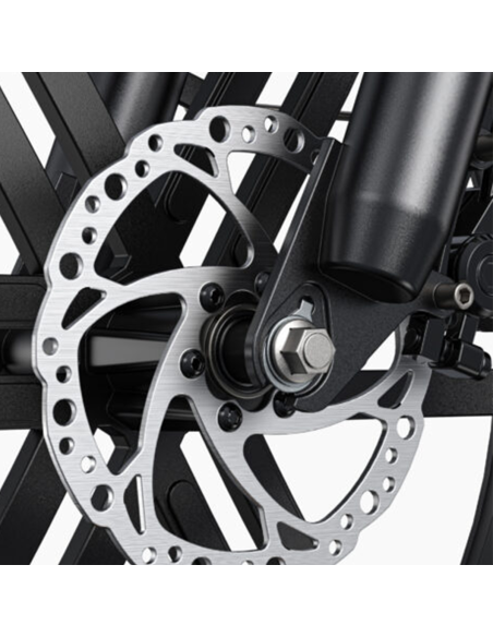Bicicletta elettrica ENGWE L20 Boost per adulti, 20", batteria 48V 13A