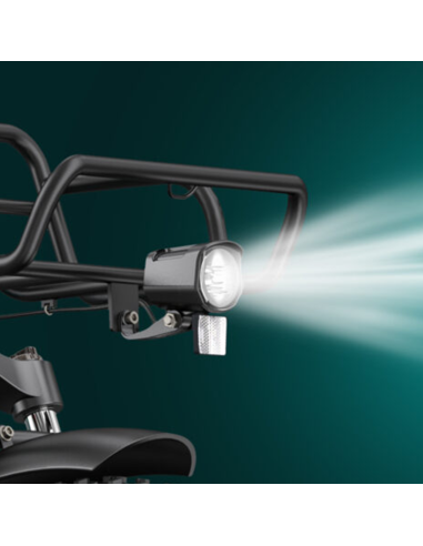 Bicicletta elettrica ENGWE L20 Boost per...