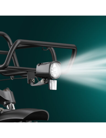 Bicicletta elettrica ENGWE L20 Boost per adulti, 20", batteria 48V 13A