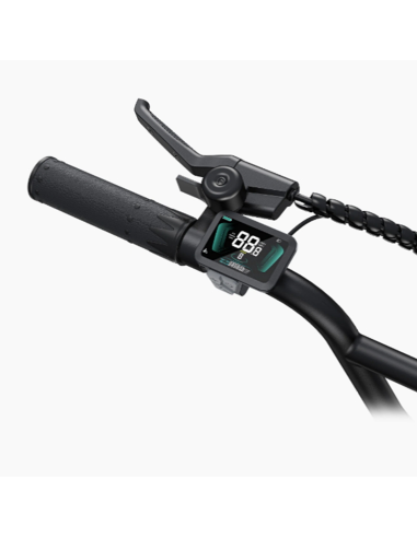Bicicletta elettrica ENGWE L20 Boost per...