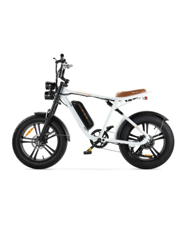 Engwe M20 Motorcycle Style Electric Bike - Single Battery 750w