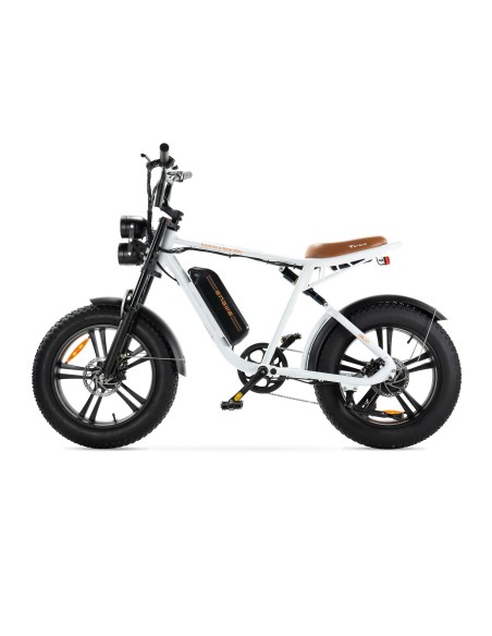 Bicicletta elettrica Engwe M20 stile motociclistico - batteria singola 750w