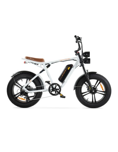 Engwe M20 Motorcycle Style Electric Bike -...