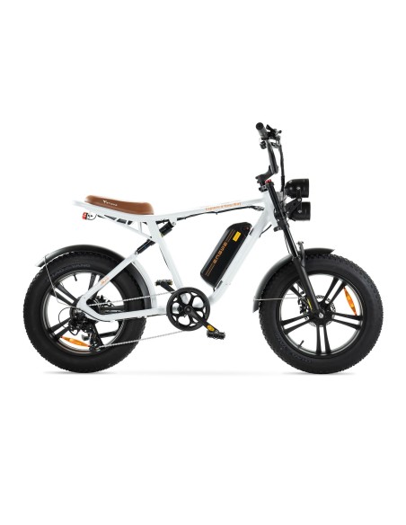 Bicicletta elettrica Engwe M20 stile motociclistico - batteria singola 750w