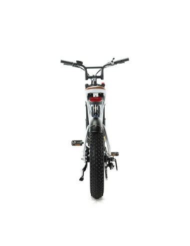 Engwe M20 Elektrofahrrad im Motorradstil -...