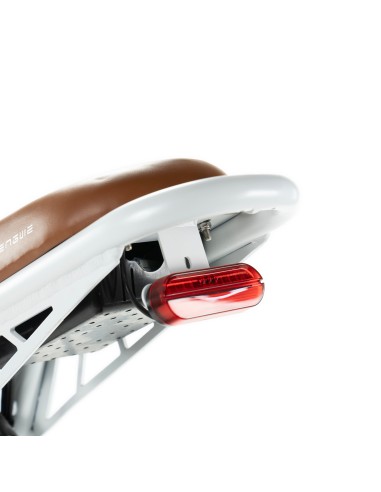 Vélo électrique style moto Engwe M20 - Batterie...
