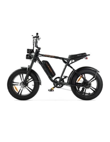 Bicicletta elettrica Engwe M20 stile motociclistico - batteria singola 750w